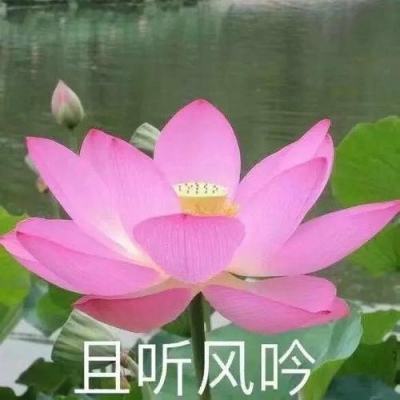 新华社消息｜中国气象局升级启动暴雨二级应急响应